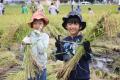 カンセキ創業50周年記念　秋の農業体験イベントを開催