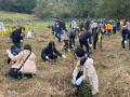 １０月２６日（土）滋賀県甲賀市育樹活動を実施