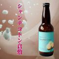 【倉敷市】玉島信用金庫主催のマルシェメルカドリコ開