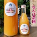 【倉敷市】玉島信用金庫主催のマルシェメルカドリコ開