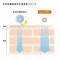 「そんなの無理よ！」熟練の研究者泣かせ3種ビタミンC
