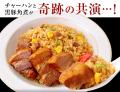 湯煎で簡単！便利な食べきりサイズ！大阪王将公式通販