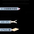 株式会社ラメリア・ジャパン、九州大学との共同研究で