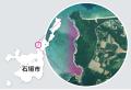 沖縄県初！絶滅危惧種の海草の再生プロジェクトが評価