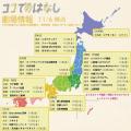 東京・府中発 ギターロックバンド koboreアルバムリリ