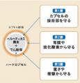 毎日1粒で目や鼻の不快感を緩和！ サプリメントutf-8