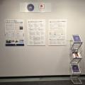 東京からパリへ、スポーツ界におけるLGBTQ+の取り組み