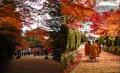 【秋の見どころ】高野山の紅葉と霊宝館秋期企画展