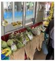 ～電車内で宇陀市産の大和野菜などを販売～「電utf-8