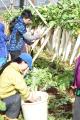 【静岡・三島】伝統のたくあん漬けや大根料理を堪能坂
