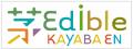 屋上菜園Edible KAYABAENで学ぶ体験型親子イベント「