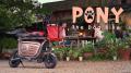 「Dog Bike PONY2」「Vintage Bike Buffalos」「ミニ