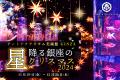 クリスマスはアートアクアリウム美術館で癒しとワクワ