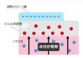 日本女性の肌を美しく見せる和名を持つ口紅発売