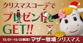 動物たちと癒しのマザー牧場クリスマス！「クリスマス