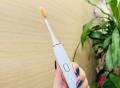 「GALLEIDO DENTAL MEMBER」から、業界初*の100%天然