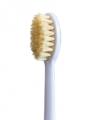 「GALLEIDO DENTAL MEMBER」から、業界初*の100%天然