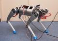 アールティが挑む、国産4足歩行ロボットの未来