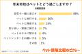 ペット保険比較のピクシー、ペットとの年末年始utf-8