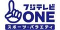 【フジテレビ】年末のバドミントン日本一決定戦をLIVE