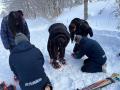 【山形県・天元台高原】キャビン付き圧雪車の人気ツア