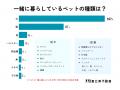 【ペットとの暮らしについて】ペットと一緒に暮らす男