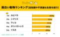 面白い動物ランキングを発表。1位にランクインしたの