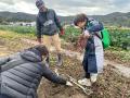 心を込めて作った野菜を親子で収穫体験『職業体験型食