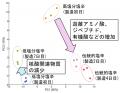 高塩分と低塩分のイカ塩辛の製造過程における代utf-8