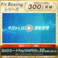 Nintendo Switch ソフト「Fit Boxing」シリーズutf-8