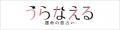 涙零れる感動の的中予言【ジューン澁澤】シャドーキャ