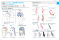 SNS総フォロワー数160万OVER！ 人気イラストレーター