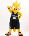 ALL-STAR MASCOTS &CHEER AII STAR選出のお知らせ