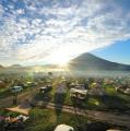 【1月26日（日）】都内で静岡県地域おこし協力隊合同