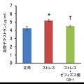 受験直前！実力を発揮するためのお腹の不調対策とは？