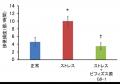 受験直前！実力を発揮するためのお腹の不調対策とは？