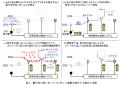 光量子計算プラットフォームに世界で初めて量子utf-8