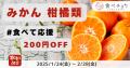 食べチョク、みかん流通額が1.4倍に急増。生産者の8割