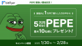 ペペ（ PEPE ）取扱い開始のお知らせ