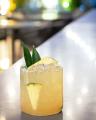 【THE KNOT HIROSHIMA】サスティナブルな極上ラム酒に