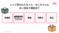 「ペットライン 健康チェックイベント」開催レポート 