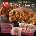 楽天お買い物マラソンで美崎牛ハンバーグがポイント10