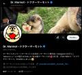 SNSで人気急上昇の「ヒマラヤマーモット」がついに日