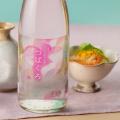 今代司酒造 お花見のお供にぴったりの『春限定 純米吟