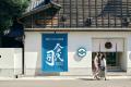 今代司酒造 お花見のお供にぴったりの『春限定 純米吟