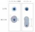 【新発見】 涙で流されにくく、べたつきを抑えたutf-8