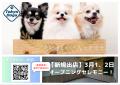 犬のしつけ専門店「東京DOGS-所沢-」3月1日に新店オー