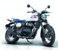 ROYAL ENFIELD Bear 650日本導入決定！大阪モーターサ