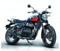 ROYAL ENFIELD Bear 650日本導入決定！大阪モーターサ