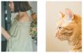 コスメティックブランド「rihka」、全国19店舗のイセ